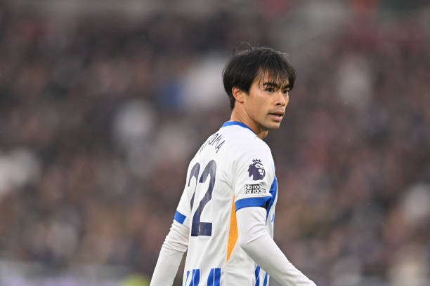 還深入研究 還深入研究