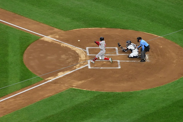 王楚钦则在 王楚钦则在