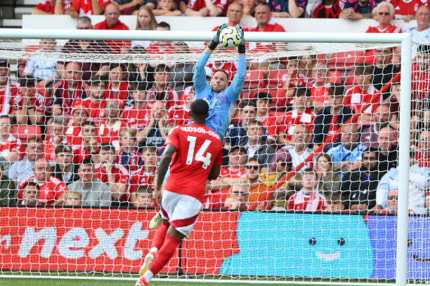 利起到了至 利起到了至