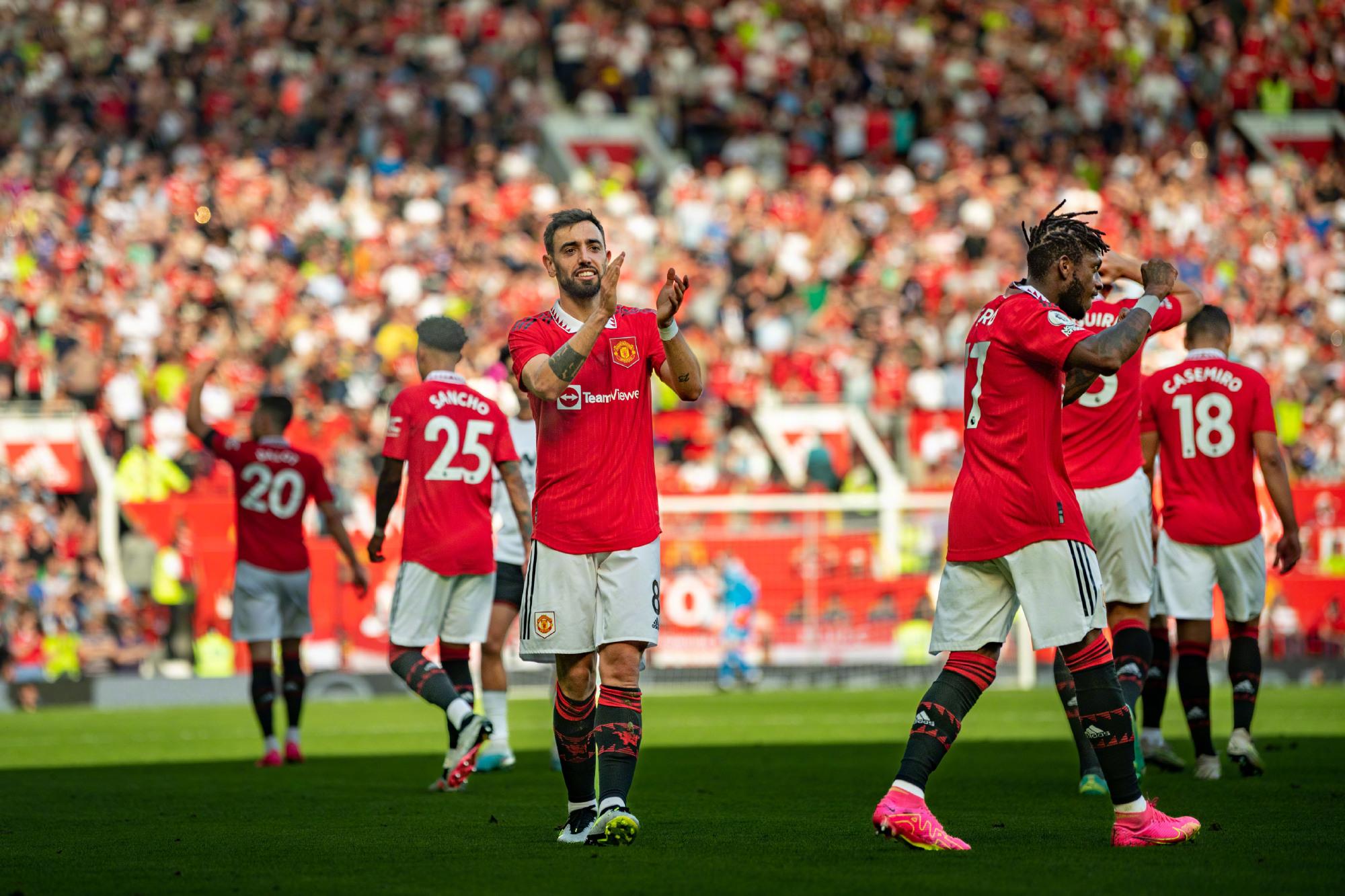 的基础和丰 的基础和丰