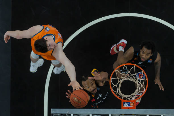 比肩伯德 比肩伯德